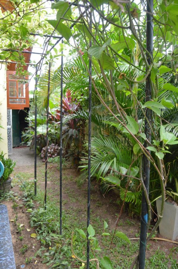 Apartament Familyhouse Negombo Zewnętrze zdjęcie
