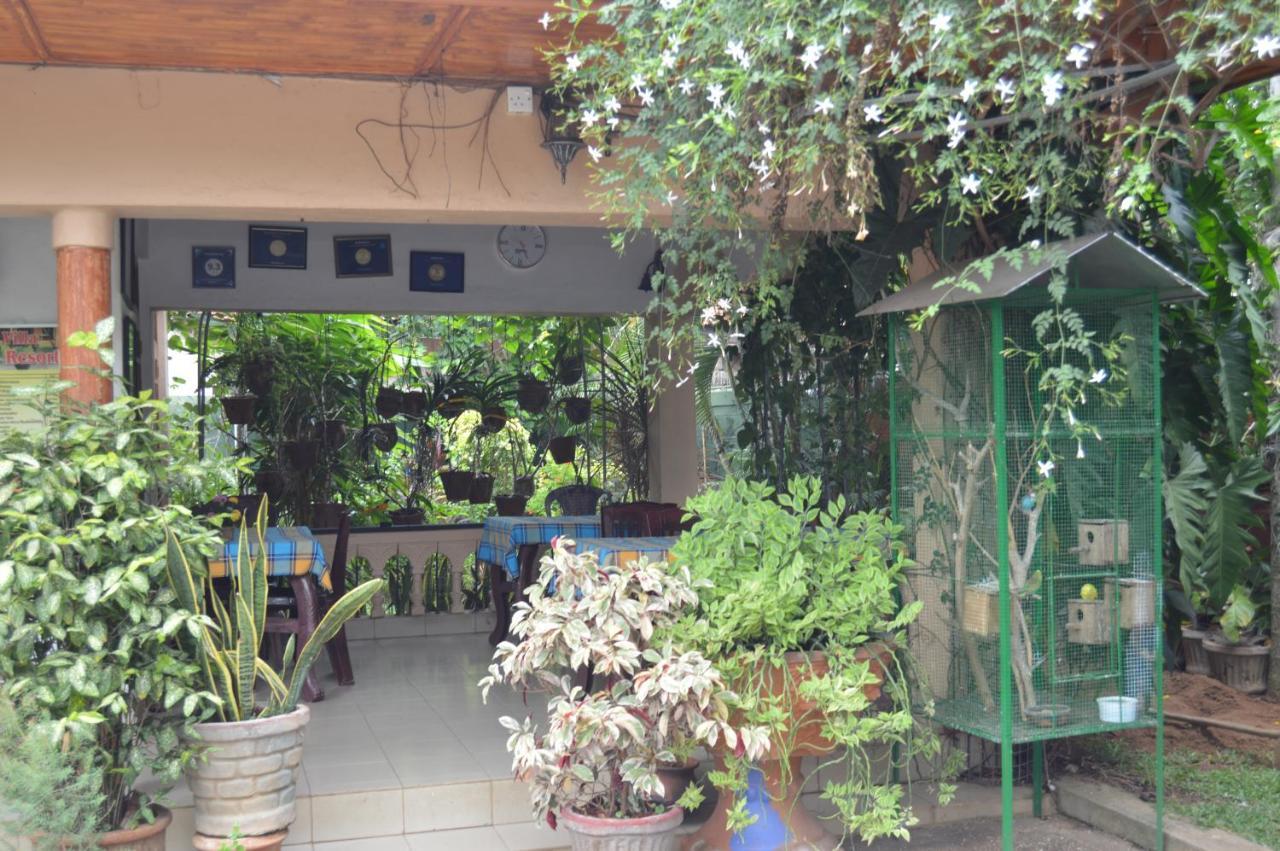 Apartament Familyhouse Negombo Zewnętrze zdjęcie