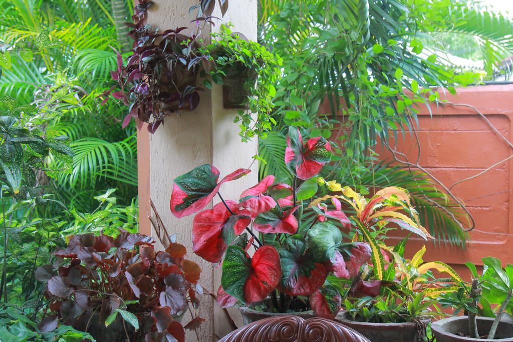Apartament Familyhouse Negombo Pokój zdjęcie